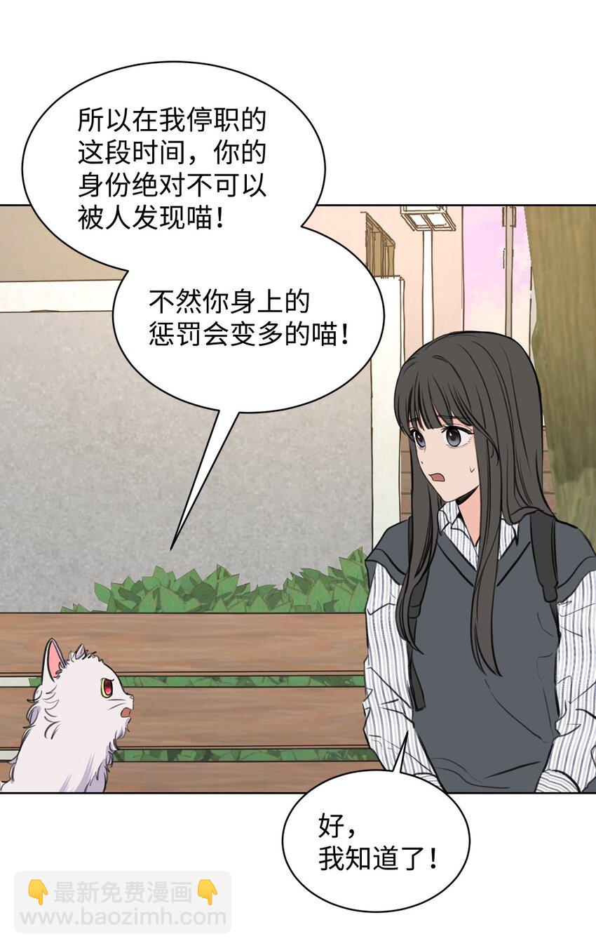 《做我的铲屎官吧!》26 哥哥的手环 第13页