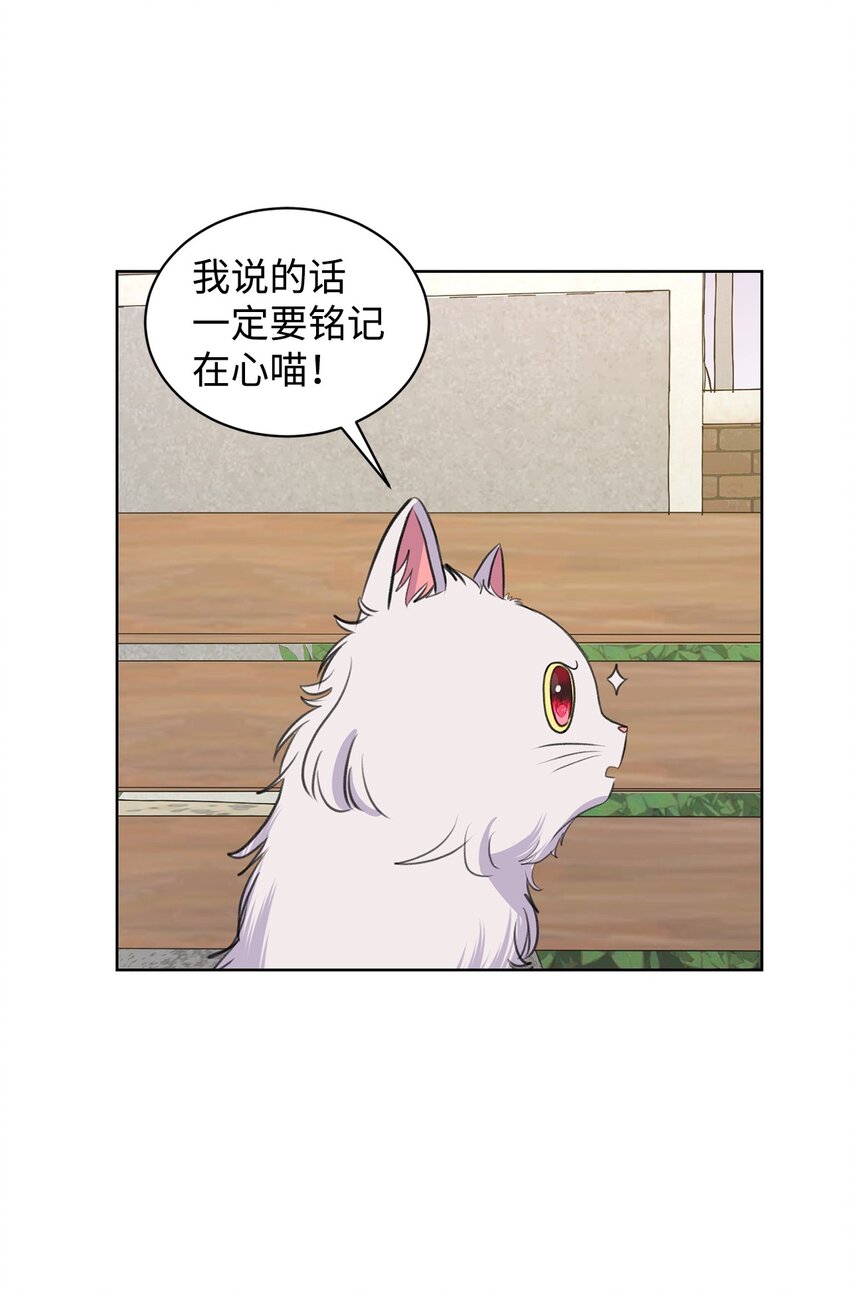 《做我的铲屎官吧!》26 哥哥的手环 第15页