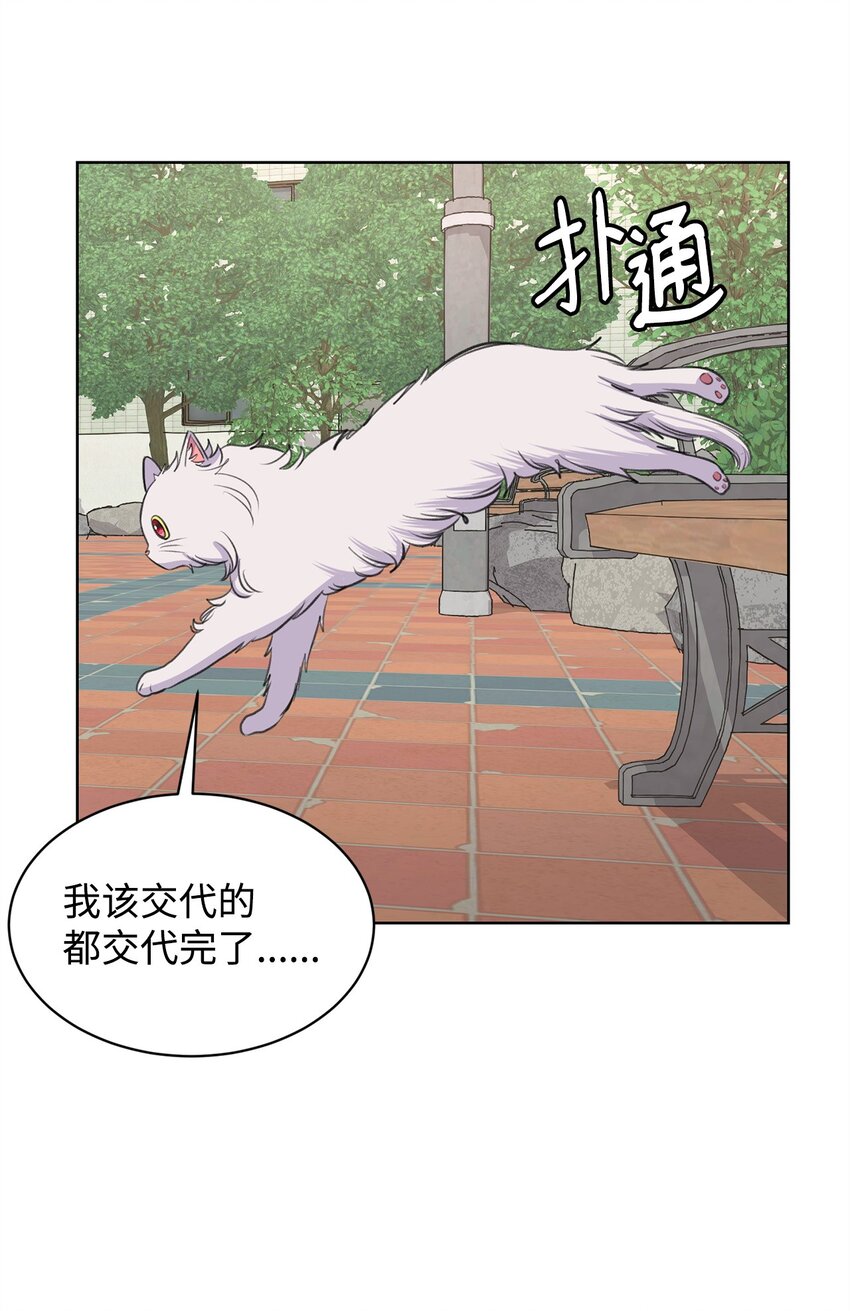 《做我的铲屎官吧!》26 哥哥的手环 第24页