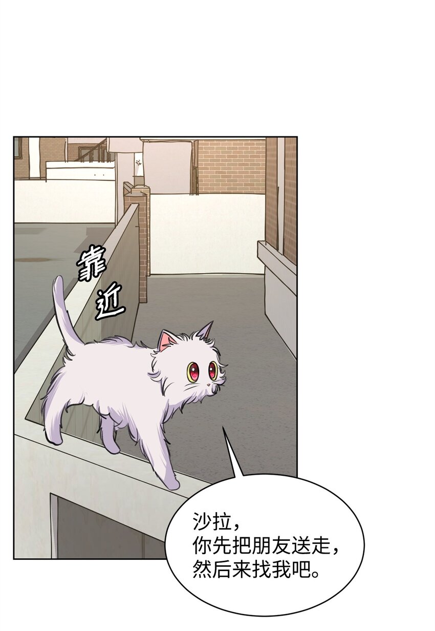 《做我的铲屎官吧!》26 哥哥的手环 第6页