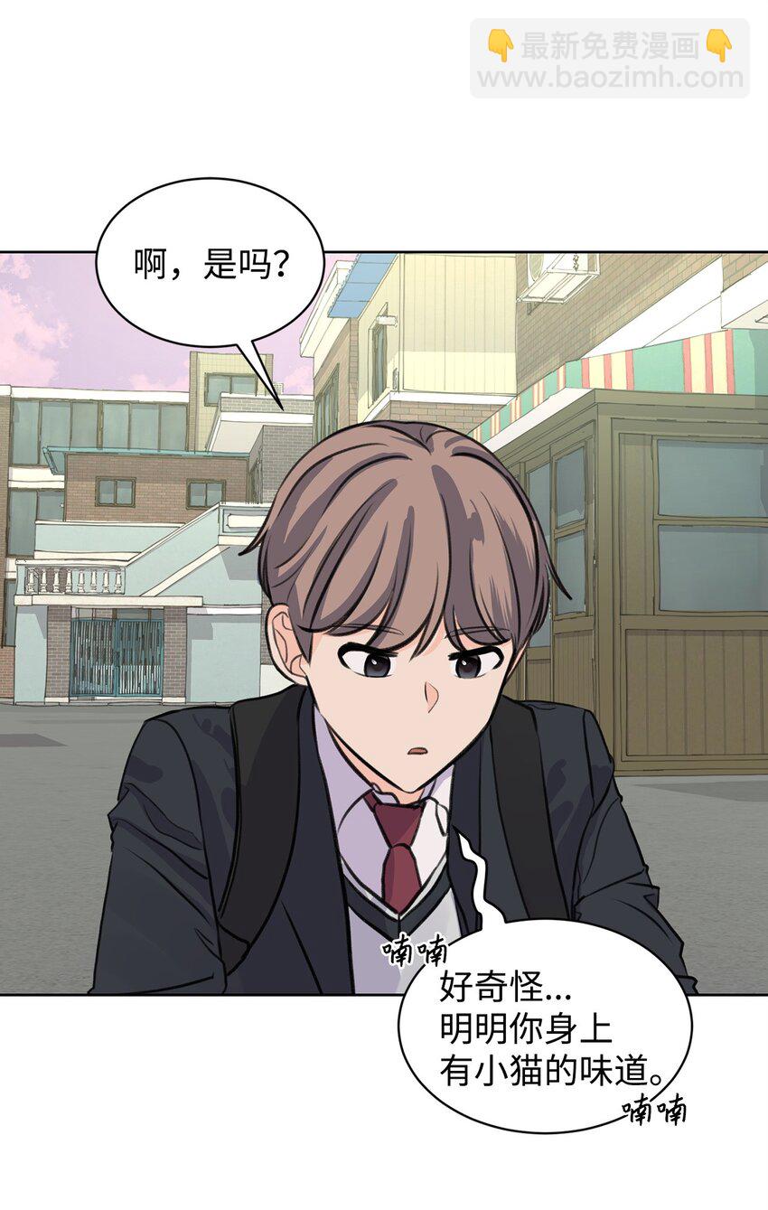 《做我的铲屎官吧!》32 你们吵架了？ 第17页