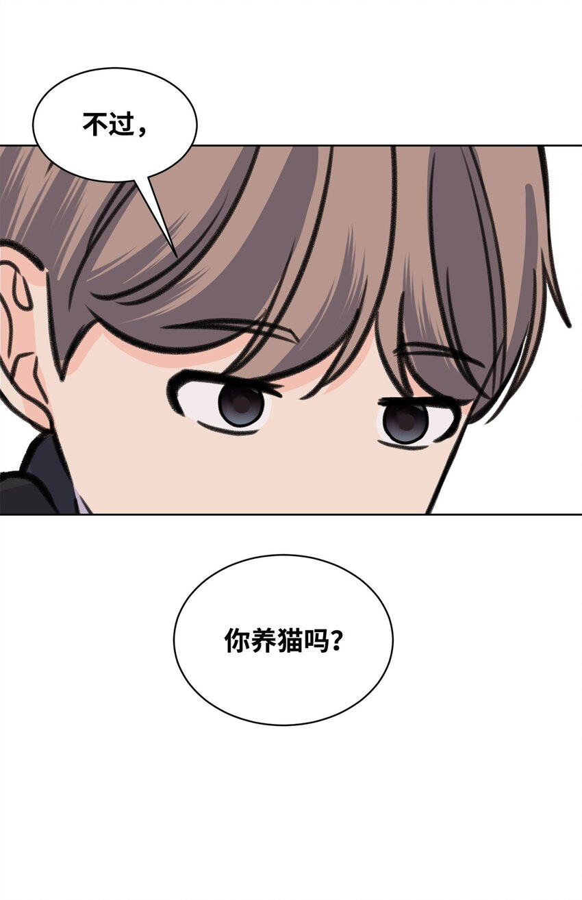 《做我的铲屎官吧!》32 你们吵架了？ 第15页