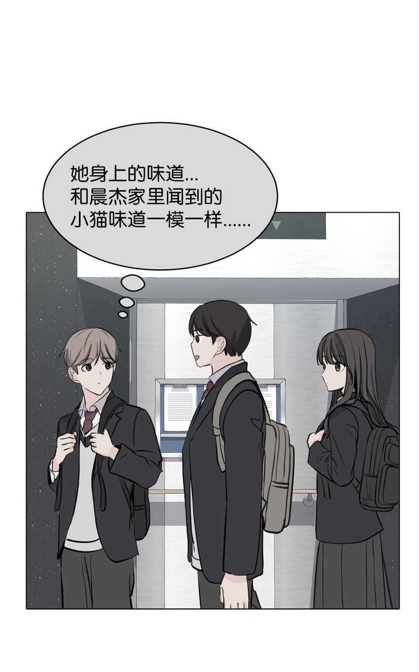 《做我的铲屎官吧!》32 你们吵架了？ 第8页