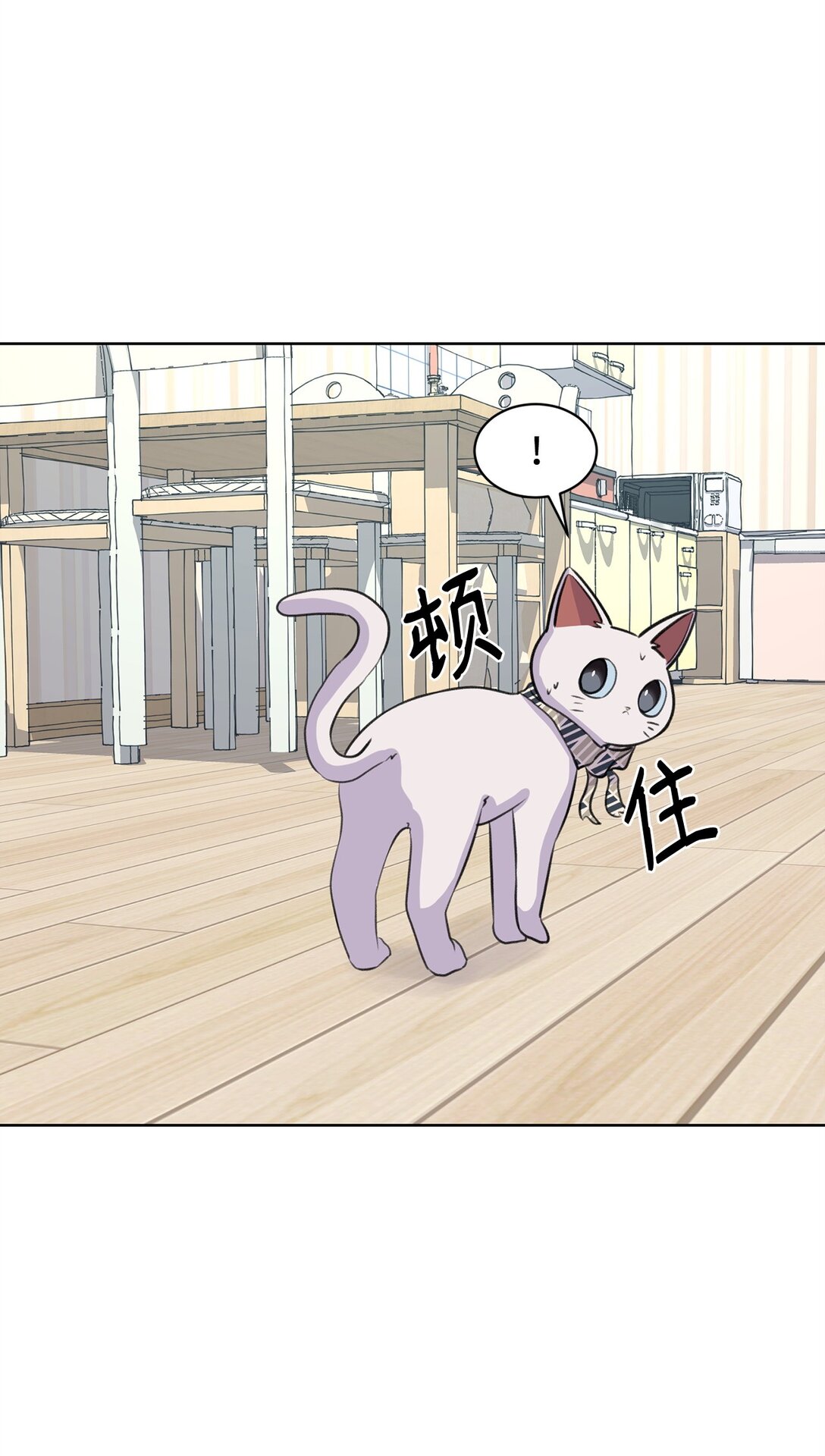 《做我的铲屎官吧!》35 周元也知道了 第13页