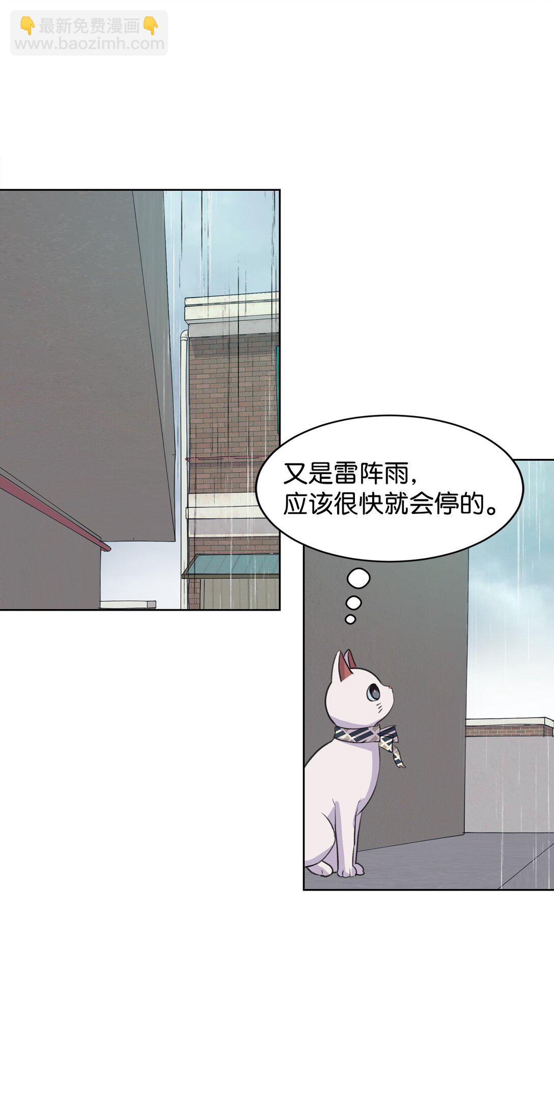《做我的铲屎官吧!》35 周元也知道了 第32页
