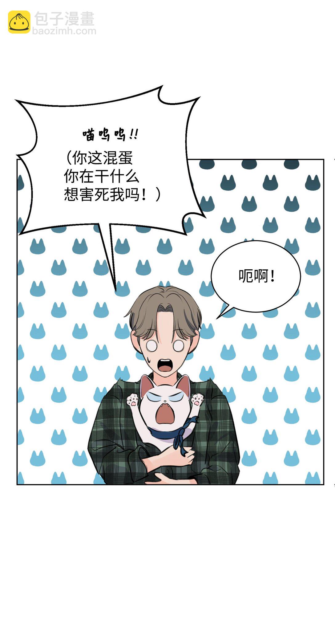 《做我的铲屎官吧!》39 同时表白 第20页