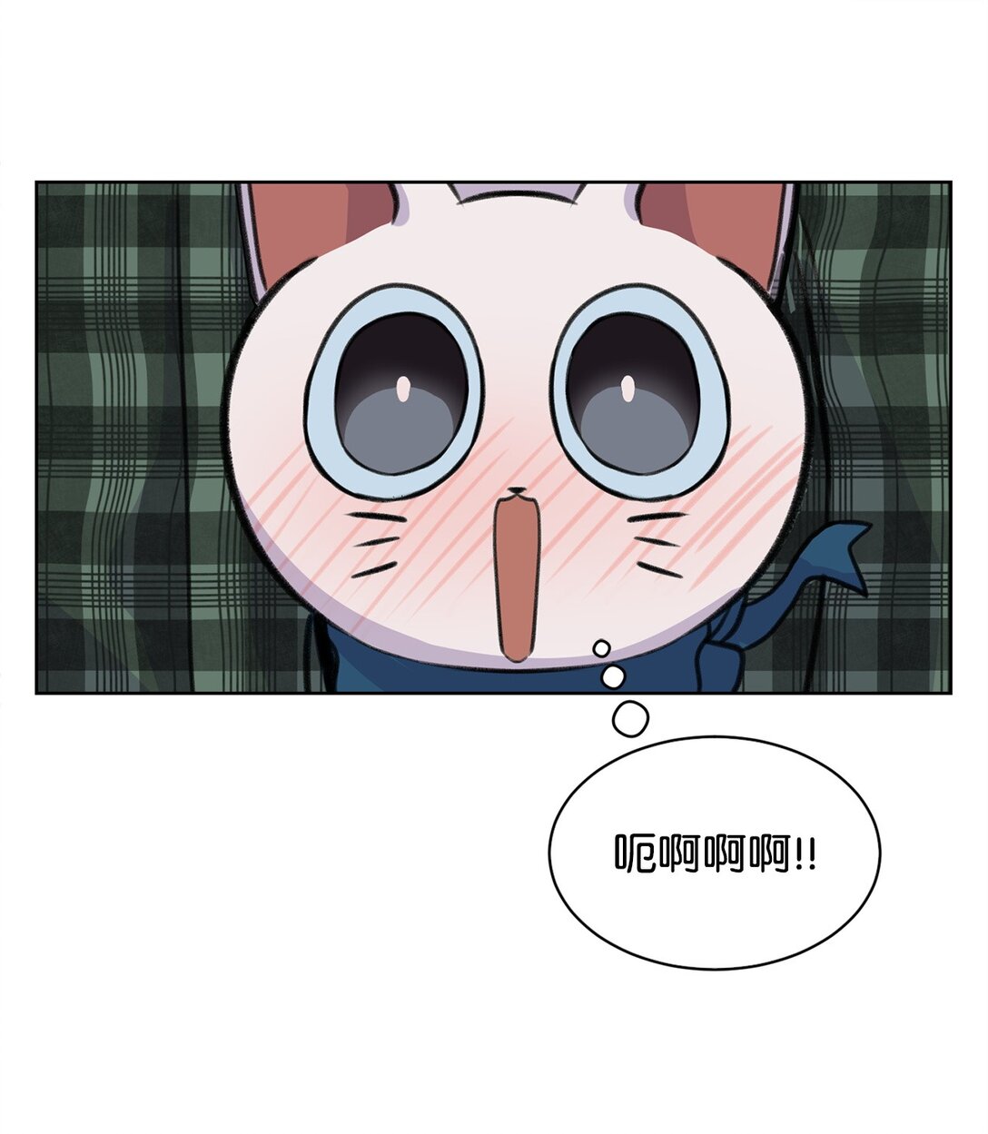 《做我的铲屎官吧!》39 同时表白 第24页