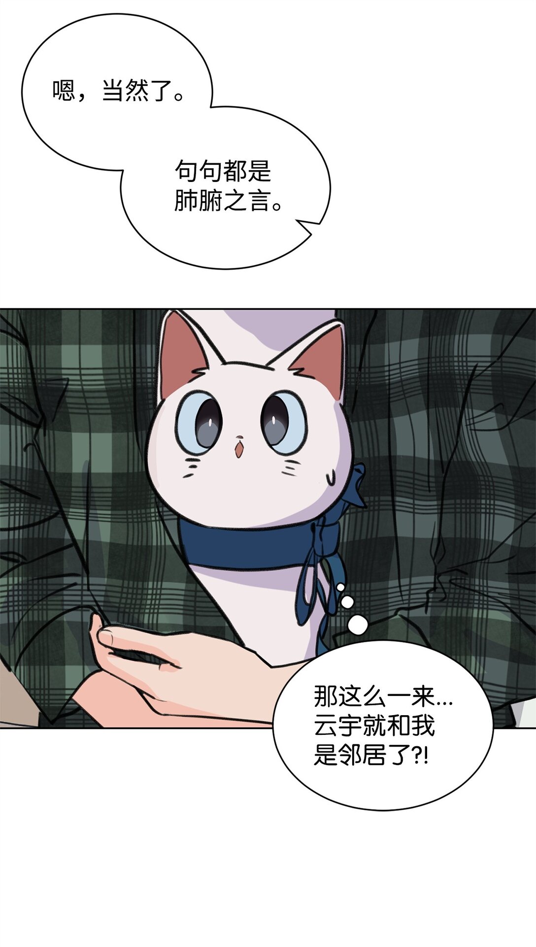 《做我的铲屎官吧!》39 同时表白 第8页