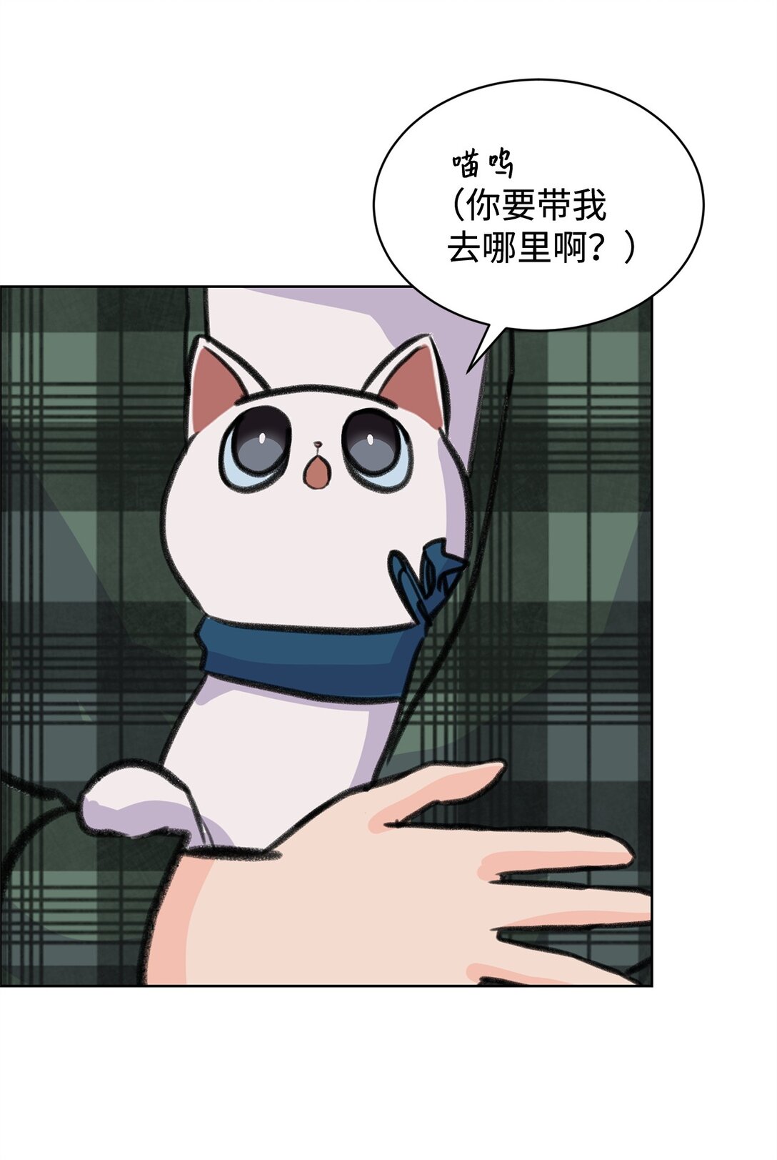 《做我的铲屎官吧!》38 周元的邀请 第39页