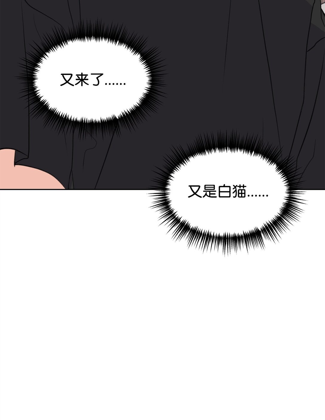 《做我的铲屎官吧!》47 奇怪的朋友 第45页