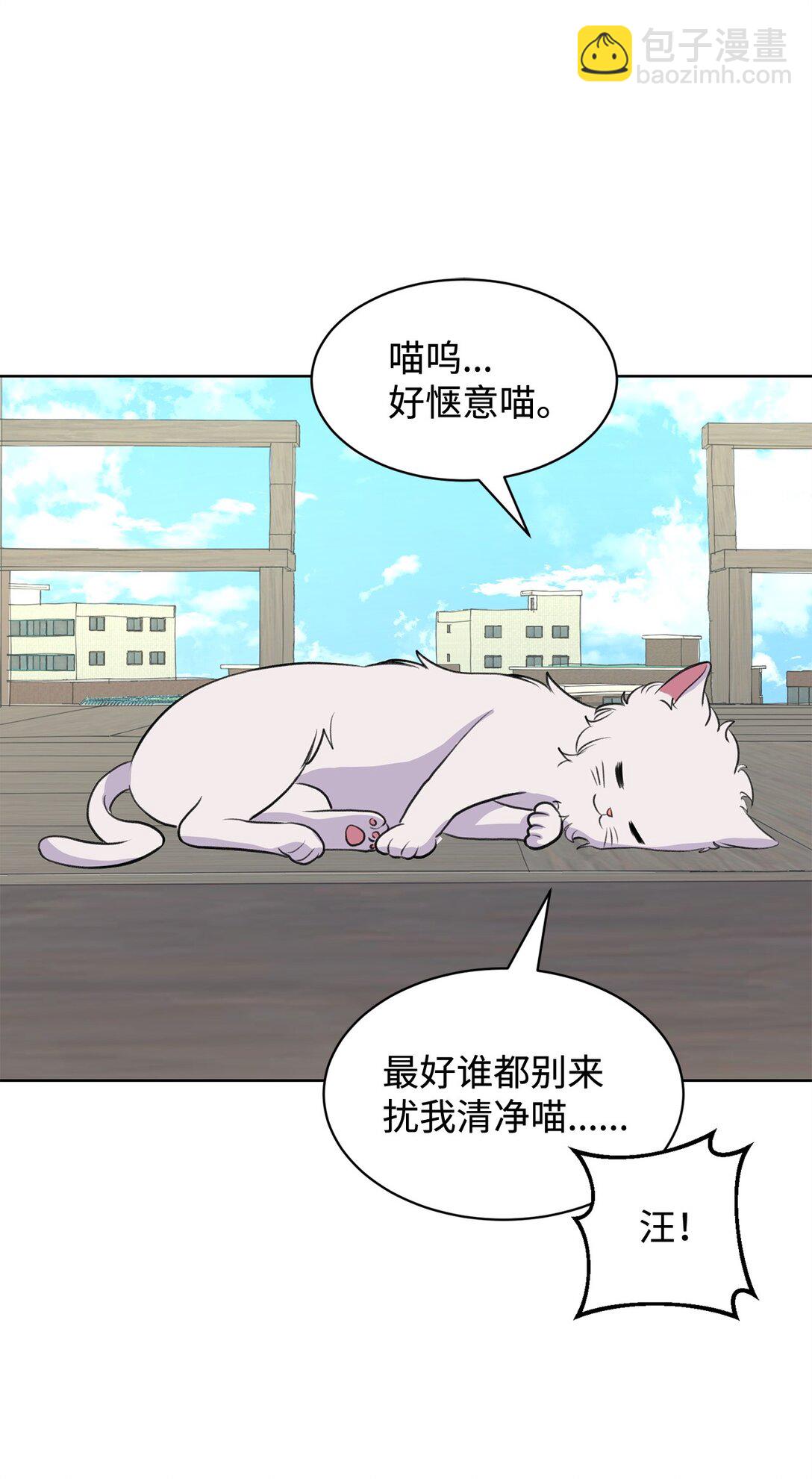 《做我的铲屎官吧!》54 云芝的一天 第37页