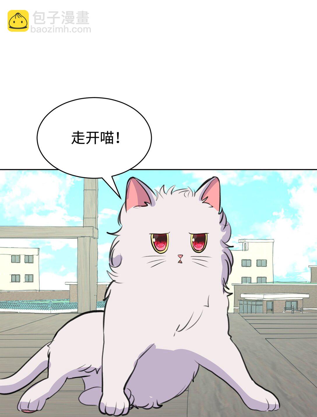 《做我的铲屎官吧!》54 云芝的一天 第40页