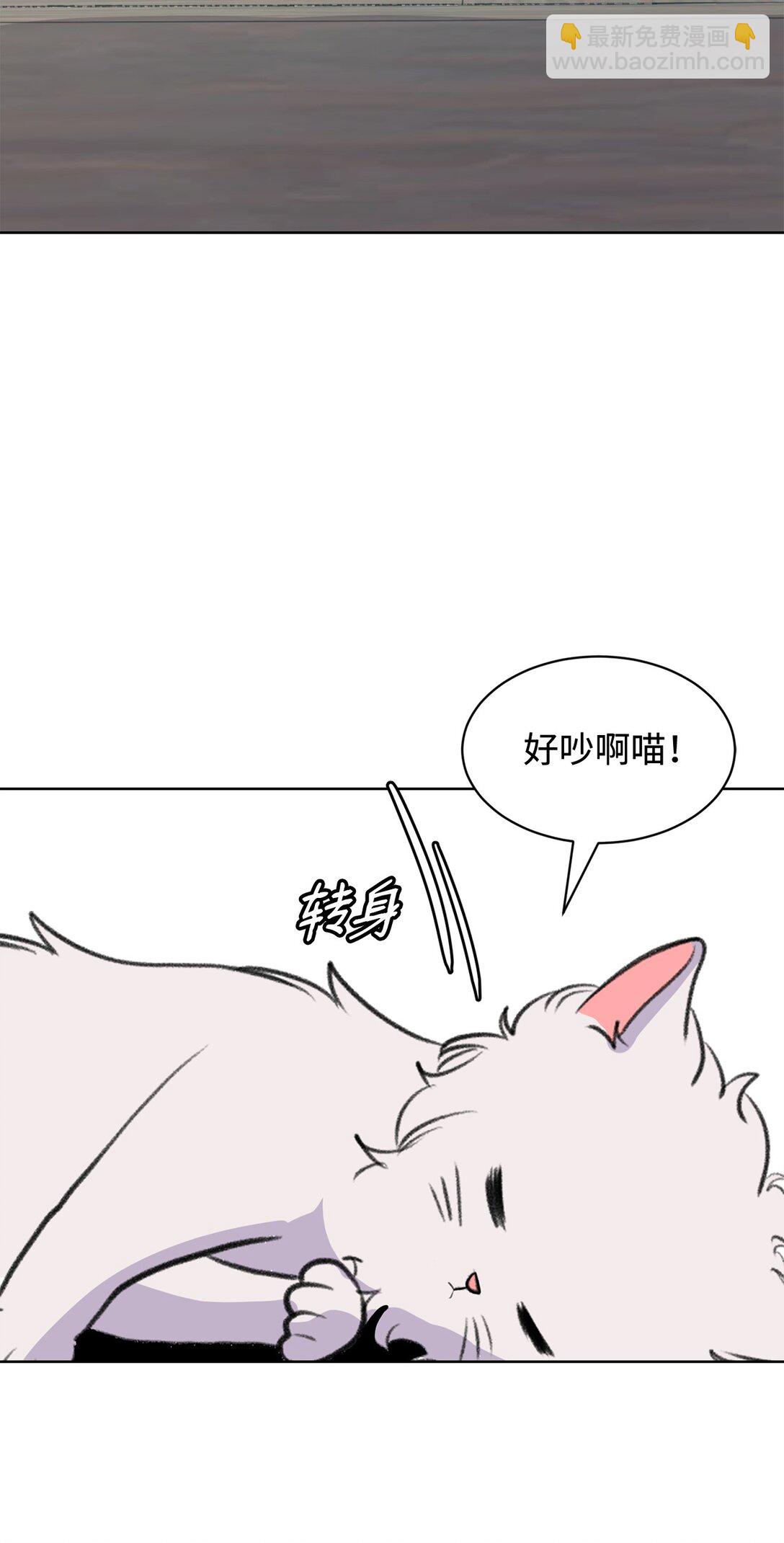 《做我的铲屎官吧!》54 云芝的一天 第41页