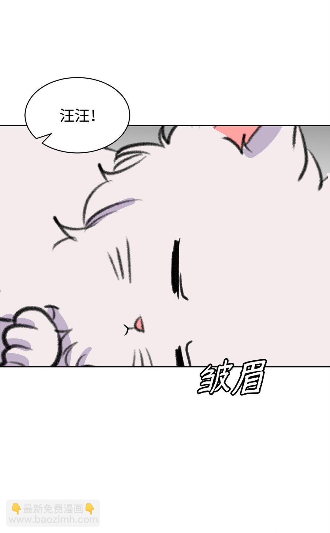 《做我的铲屎官吧!》54 云芝的一天 第42页