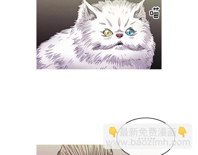 《特工大叔》第47话 消失的Mr.李 第36页
