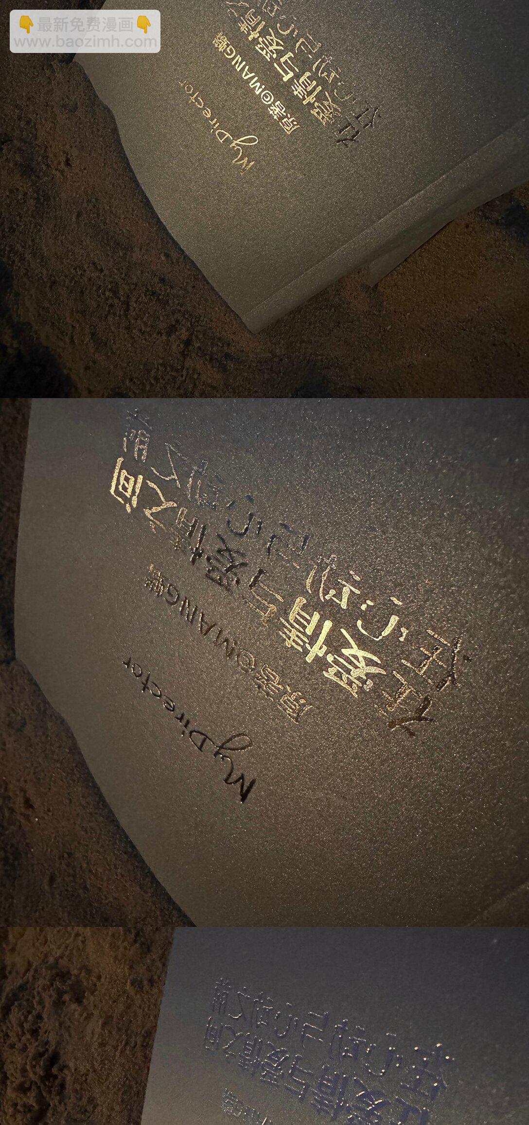 《My Director》050 罗非的番外（下） 第31页