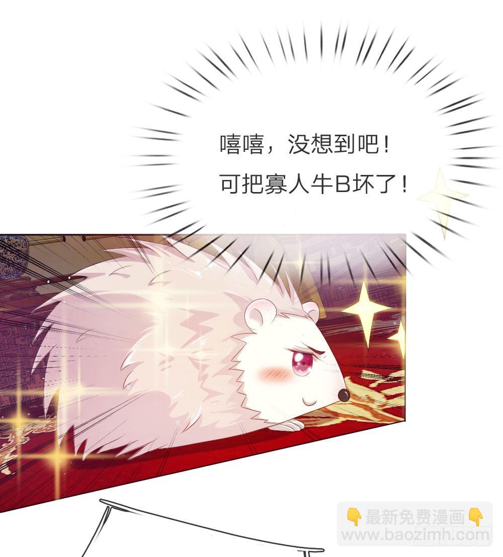 《温柔暴君摄政王爷太凶勐》第5话 刺猬—本命护体 第18页