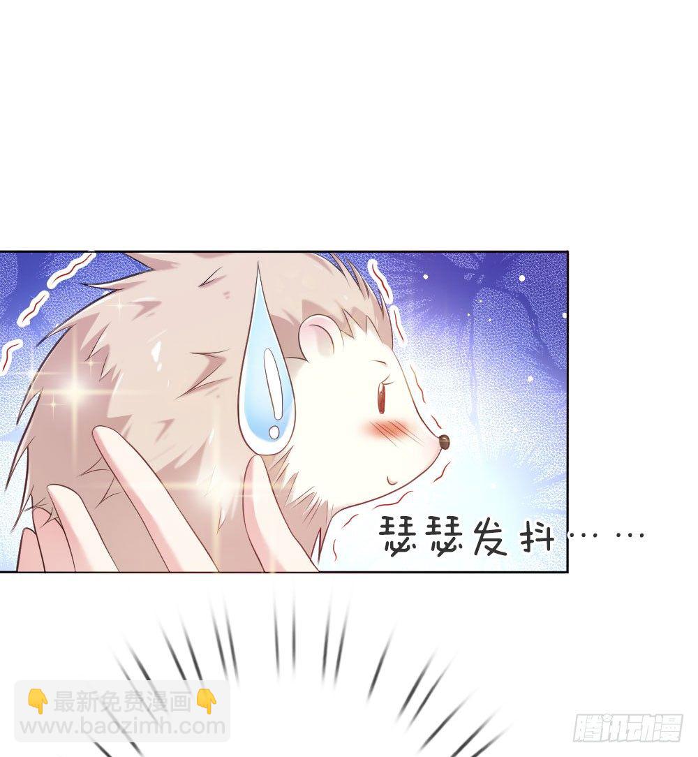 《温柔暴君摄政王爷太凶勐》第5话 刺猬—本命护体 第16页