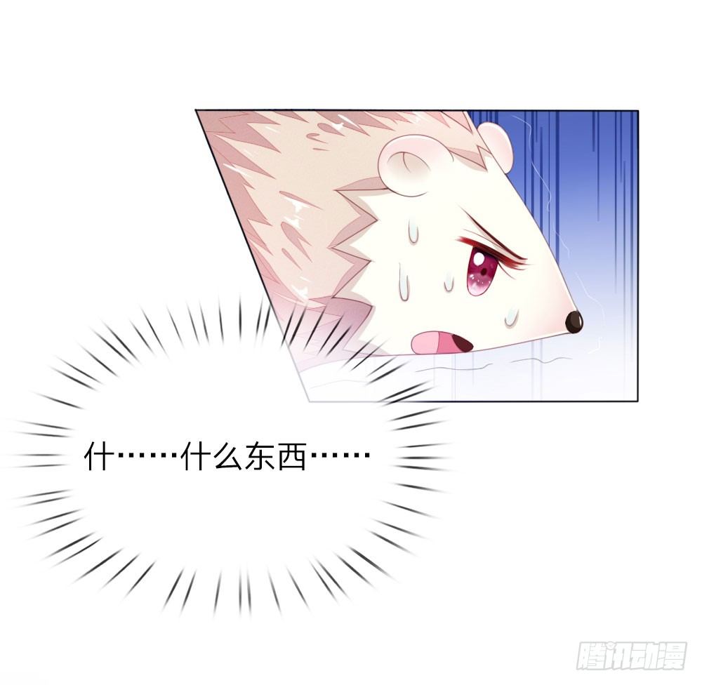 《温柔暴君摄政王爷太凶勐》第6话 饿狗来袭 第14页
