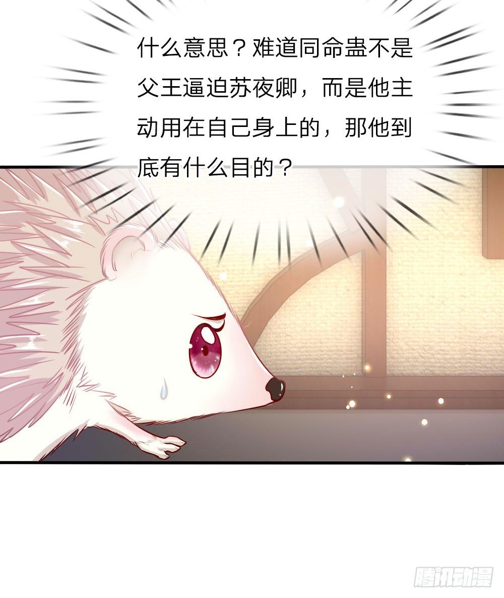 《温柔暴君摄政王爷太凶勐》第42话 下半“生”的幸福 第7页