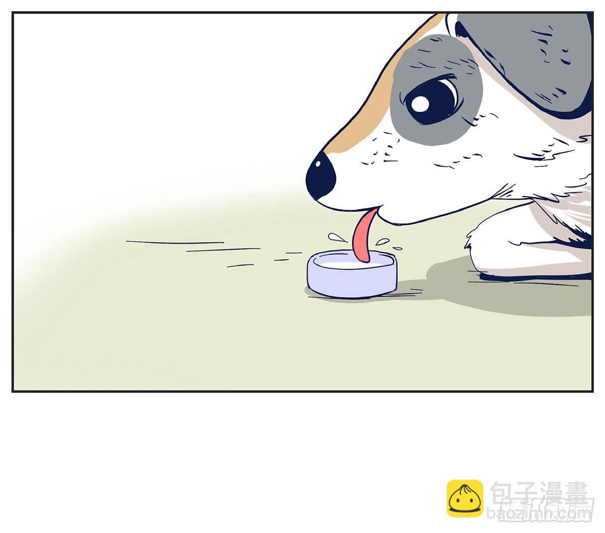 《愿你常夏永不褪色》哥哥对常夏一见钟情 第47页