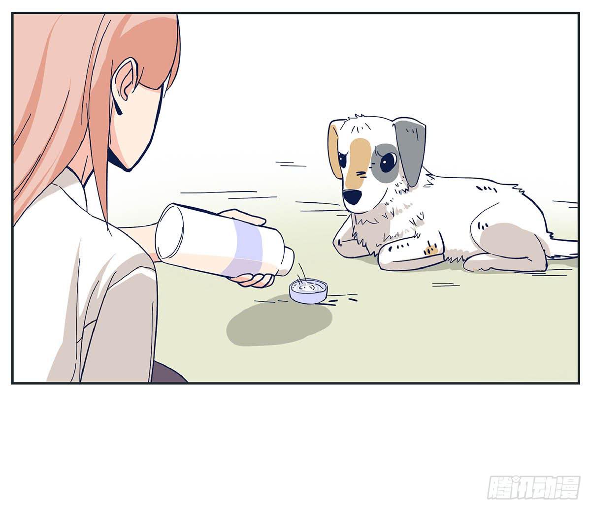 《愿你常夏永不褪色》哥哥对常夏一见钟情 第46页