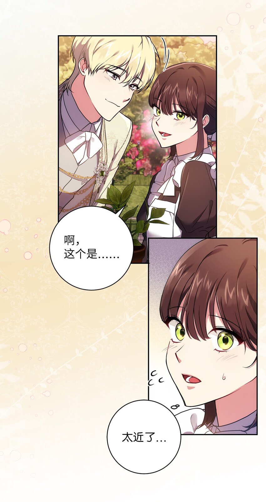 《伊莱恩的故事》034 围观 第47页
