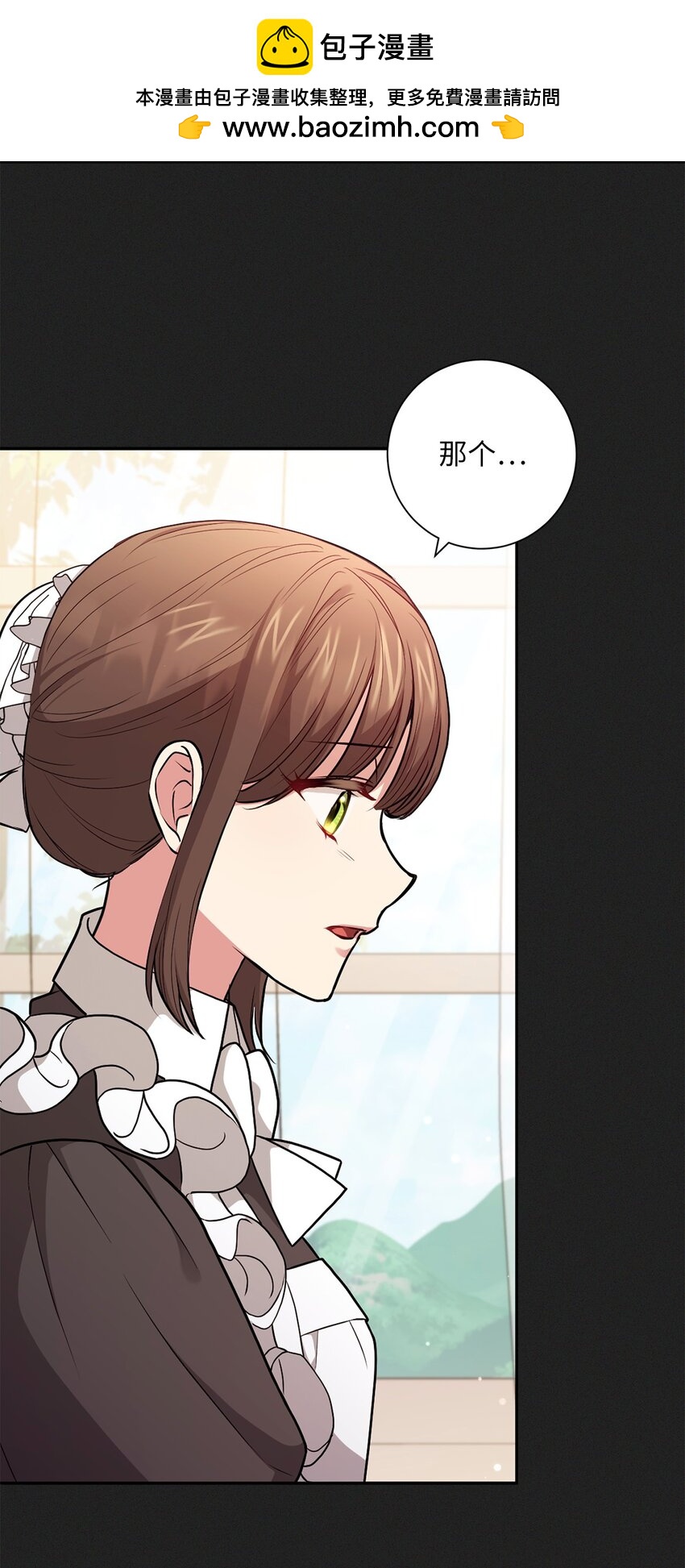 《伊莱恩的故事》048 雨夜求药 第2页
