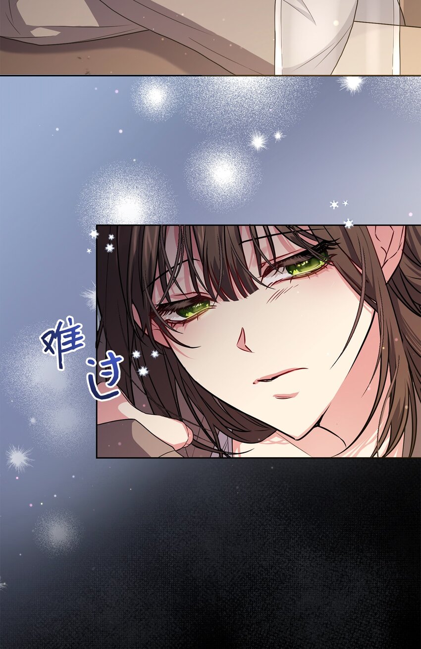 《伊莱恩的故事》048 雨夜求药 第30页
