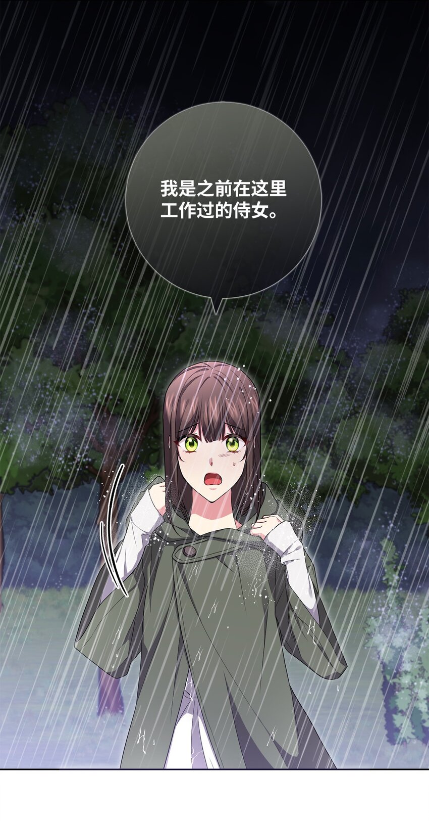 《伊莱恩的故事》048 雨夜求药 第49页