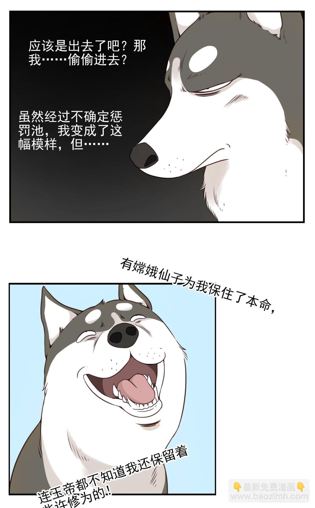 《位列仙班》006-好丑的狗 第13页