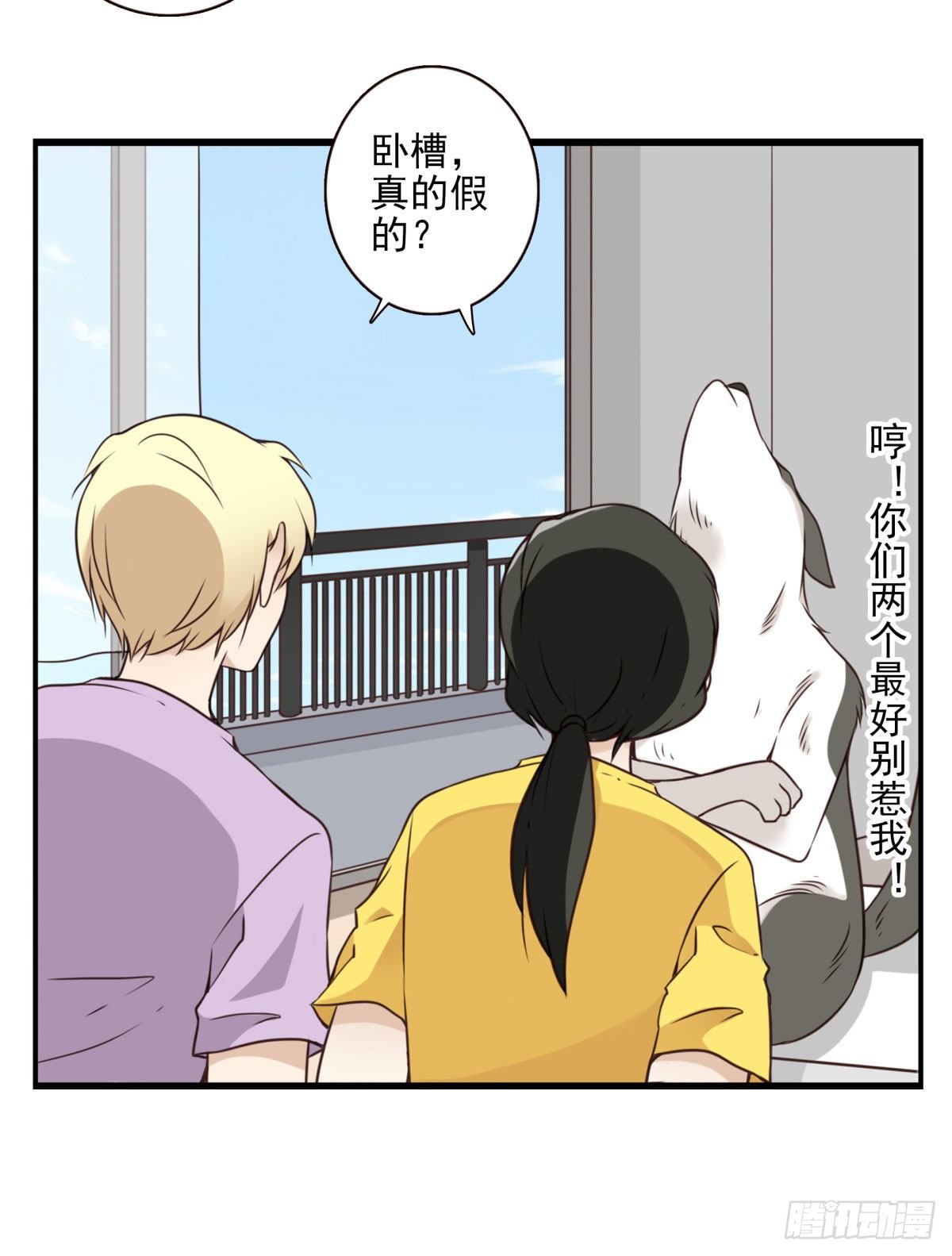 《位列仙班》006-好丑的狗 第28页