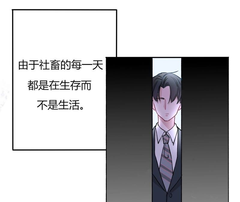 《不可抗的年下大佬》相公真是人间绝色 第43页