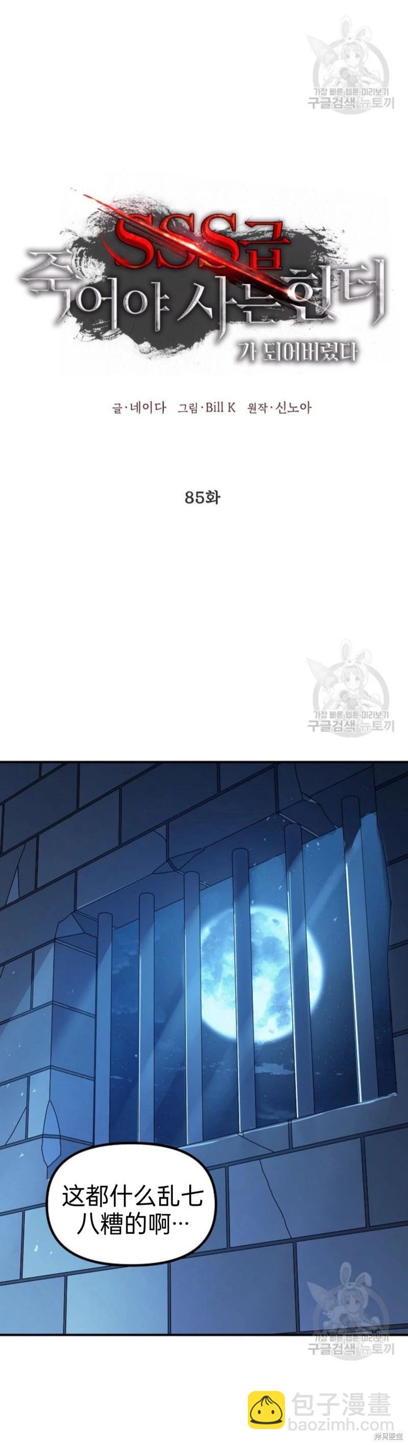 《SSS级自杀猎人》第85话 第17页