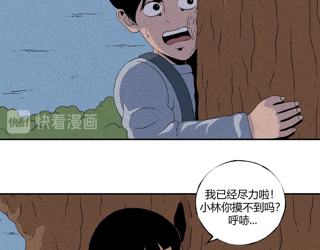 《小林怪谈》第10话 三人不抱树 第19页
