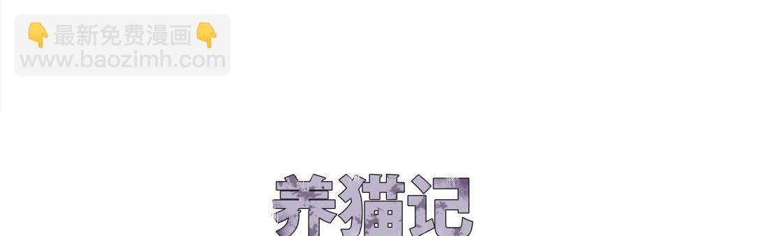 《小林怪谈》第16话 养猫记 第3页