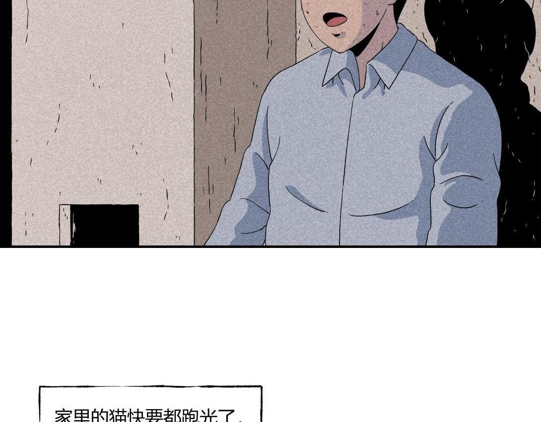《小林怪谈》第16话 养猫记 第29页