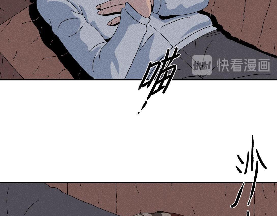 《小林怪谈》第16话 养猫记 第37页