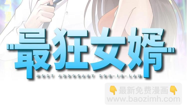 《最狂女婿》第33话 拜师 第2页