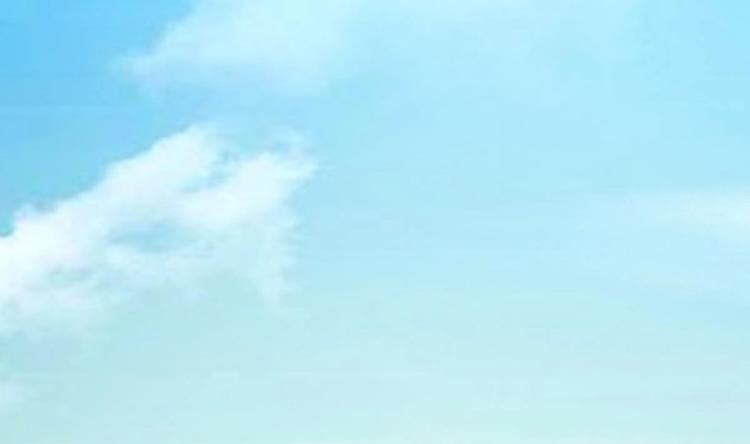 《最狂女婿》第40话 求求你打我吧 第47页