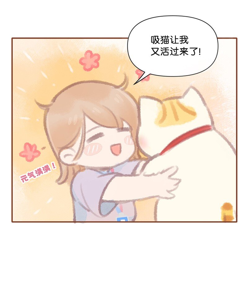 《喵铃铛》01 谁还不是个高管喵了？ 第14页