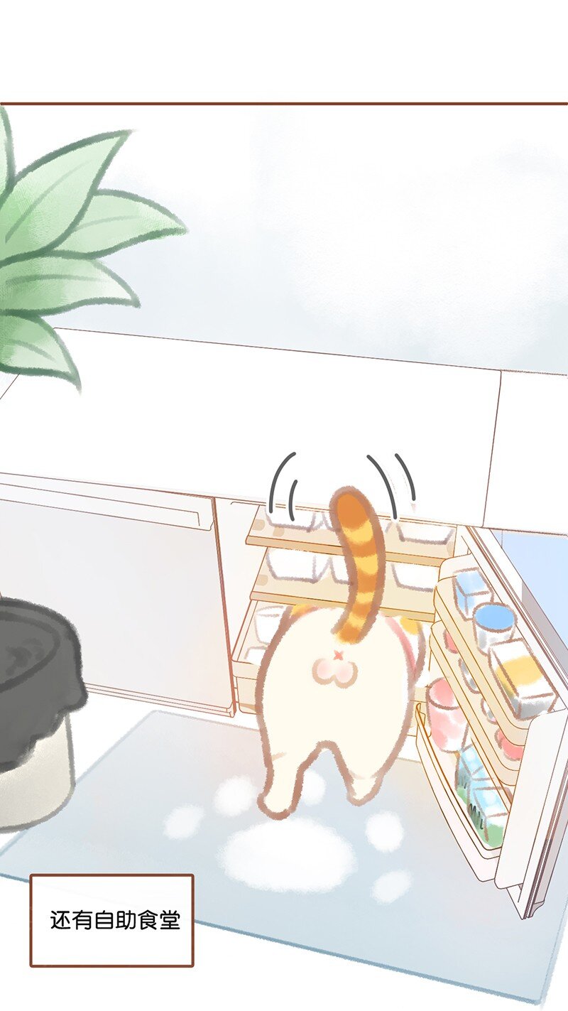 《喵铃铛》01 谁还不是个高管喵了？ 第6页