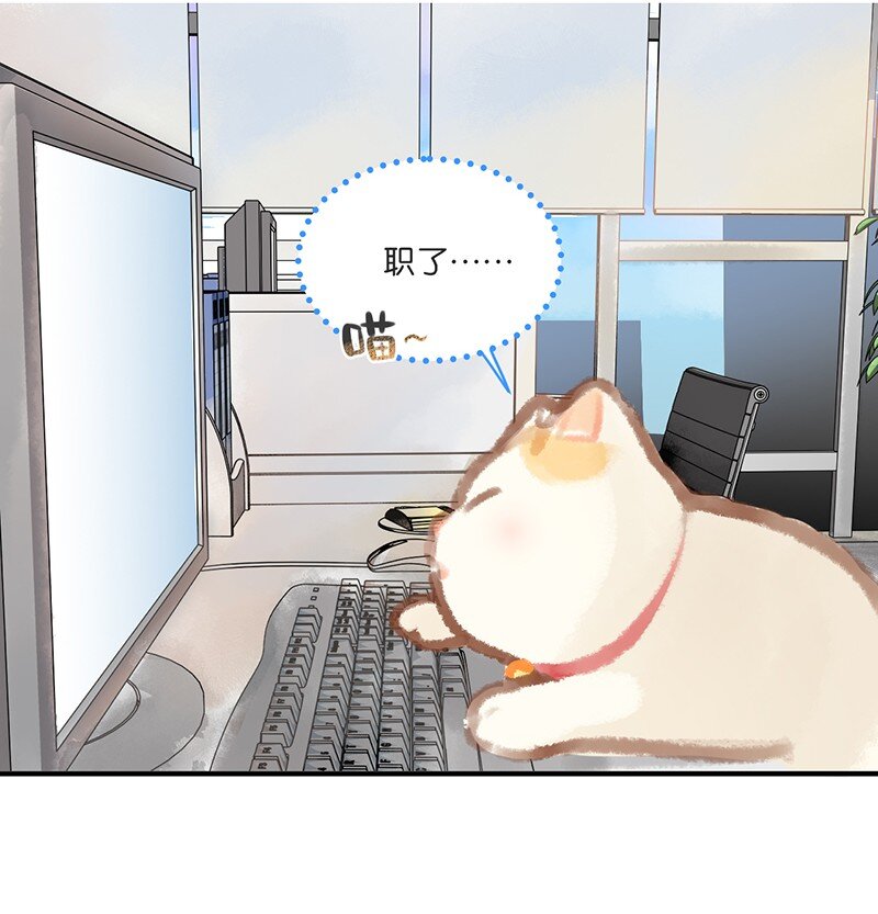 《喵铃铛》03 本喵工作的理由 第13页