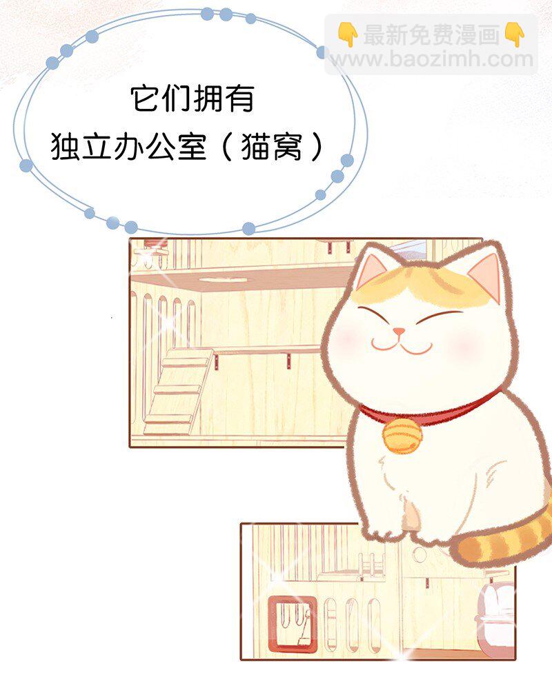 《喵铃铛》楔子 喵？ 第2页