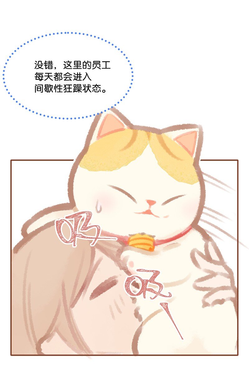 《喵铃铛》01 谁还不是个高管喵了？ 第13页