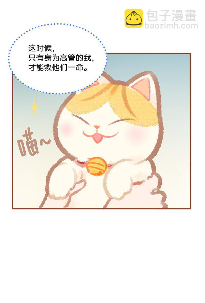《喵铃铛》01 谁还不是个高管喵了？ 第15页