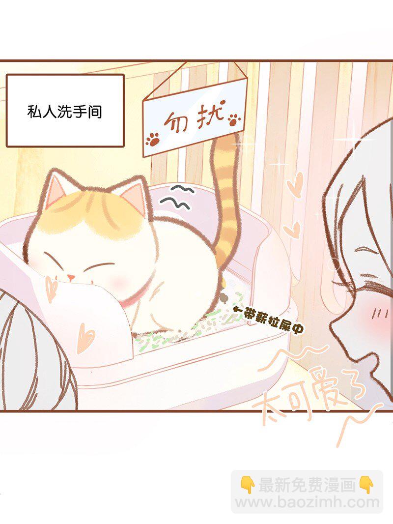 《喵铃铛》01 谁还不是个高管喵了？ 第5页
