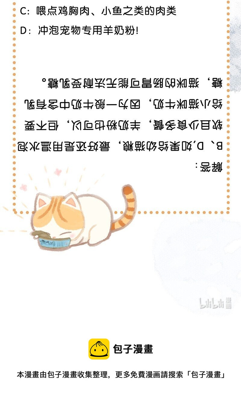 《喵铃铛》03 本喵工作的理由 第19页