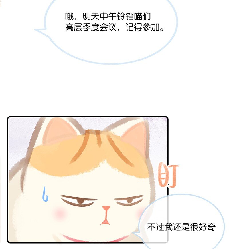 《喵铃铛》04 楼上的女装大佬？！ 第10页