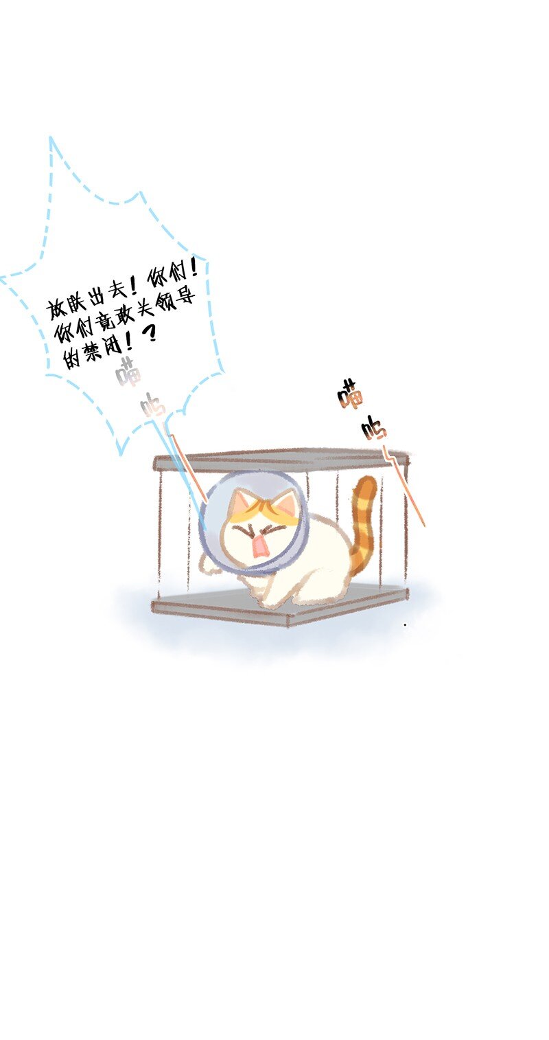 《喵铃铛》07 减肥是不可能减肥的！ 第24页